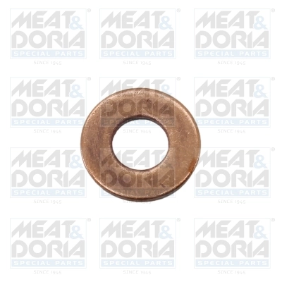 Seal Ring, injector